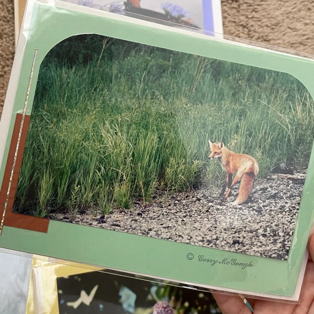 10 Handmade‎ Nature Cards